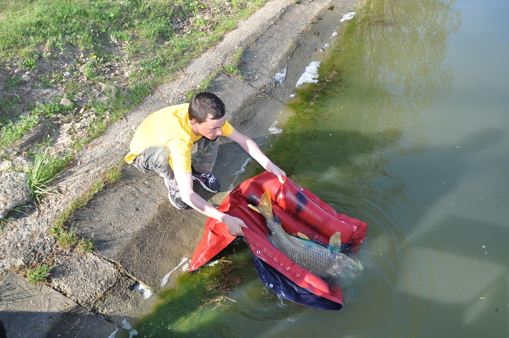 GALERIE FOTO TROFEUL USAMV - PLEASA 5 - dsc0679.JPG